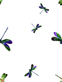 手绘蜻蜓