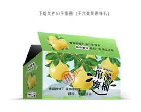  琯溪蜜柚彩盒