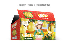 垫江白柚彩盒