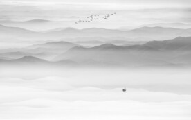 灰色大气水墨山水画