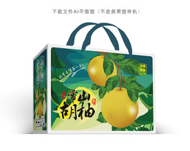 常山胡柚包装 