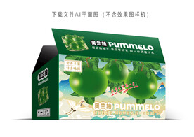 奥兰柚礼盒
