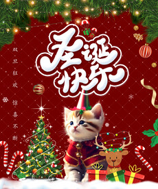 圣诞小猫咪