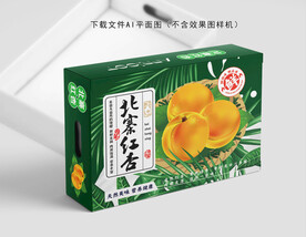 北寨红杏设计