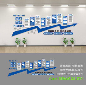 发展历程