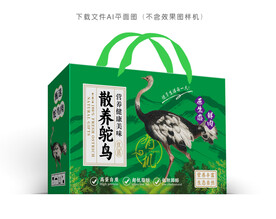 鸵鸟肉彩盒