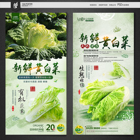 黄白菜