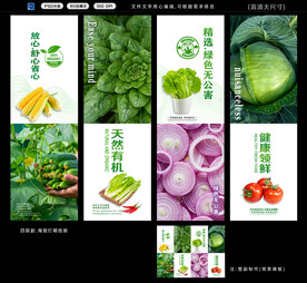  蔬菜挂画