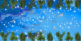星星 树