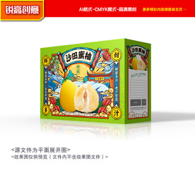 柚子包装 蜜柚礼盒
