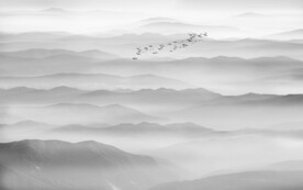 巨幅水墨山水画