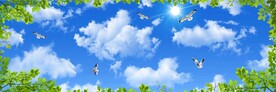 蓝天白云