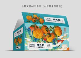 狮头柑包装