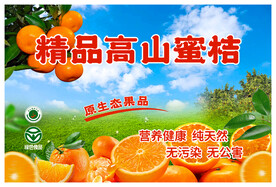 高山蜜桔