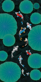 荷花九鱼图玄关背景墙