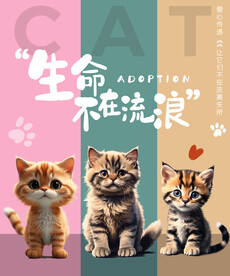 猫海报
