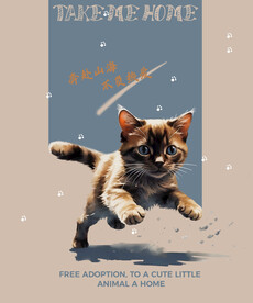 猫