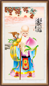 老寿星