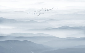 禅意水墨画背景墙