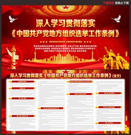 地方组织选举工作条例