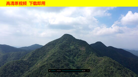 森林大山