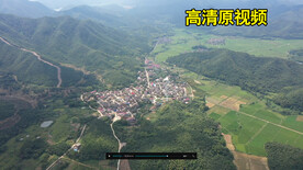 青山村组田野
