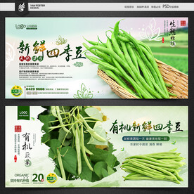 四季豆