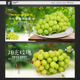 阳光玫瑰