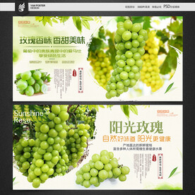 阳光玫瑰
