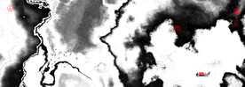 装饰水墨画