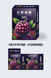 杨梅包装