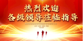 热烈欢迎领导背景