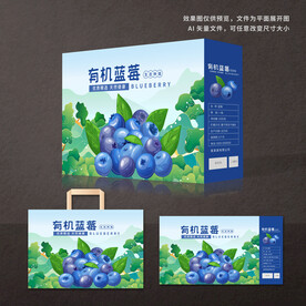 蓝莓包装