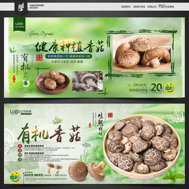 香菇