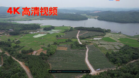 蓝莓基地航拍