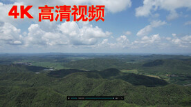  蓝莓果园
