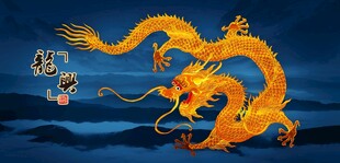 龙