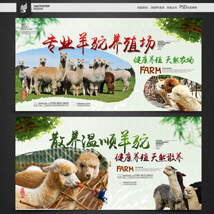 羊驼