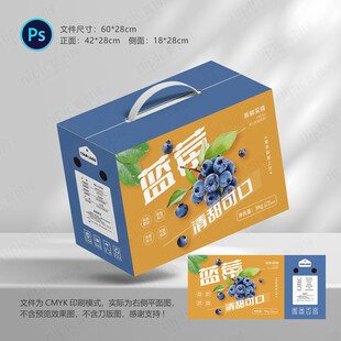 蓝莓包装
