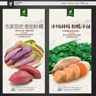 红薯
