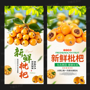 枇杷