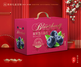 蓝莓包装 水果礼盒