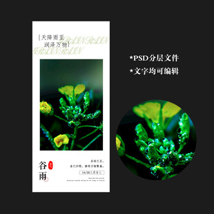 谷雨