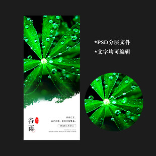 谷雨