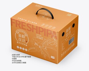 琵琶包装礼盒