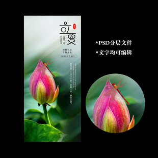 立夏