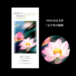 立夏