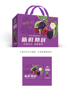 桑葚礼盒 