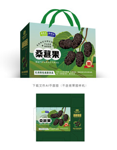 桑葚设计