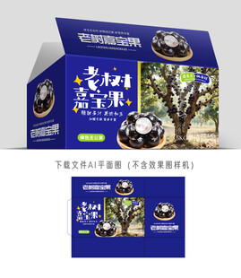 嘉宝果包装